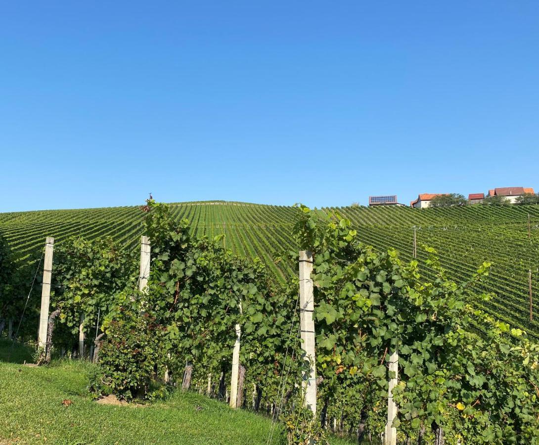 Wein Kultur Apartment Flavia Solva Wagna Экстерьер фото