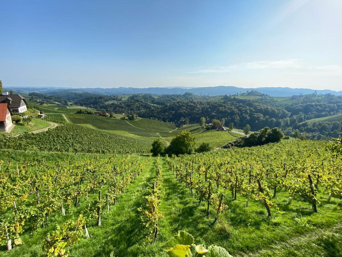 Wein Kultur Apartment Flavia Solva Wagna Экстерьер фото